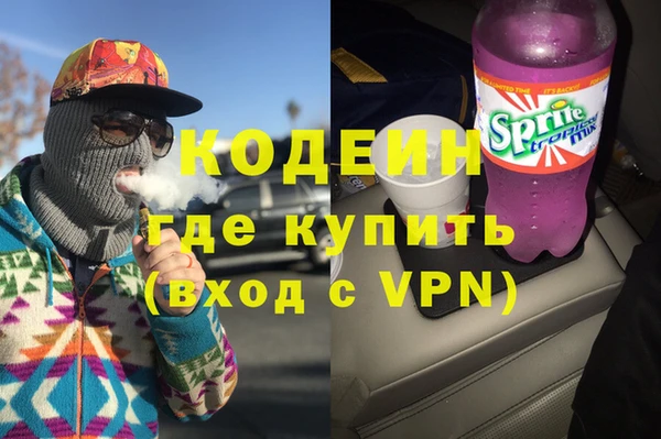 хмурый Михайловск