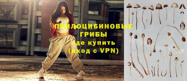 а пвп мука Михайлов