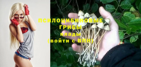 хмурый Михайловск